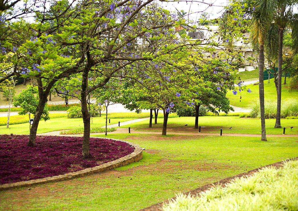 Jardim em todas as alamedas 