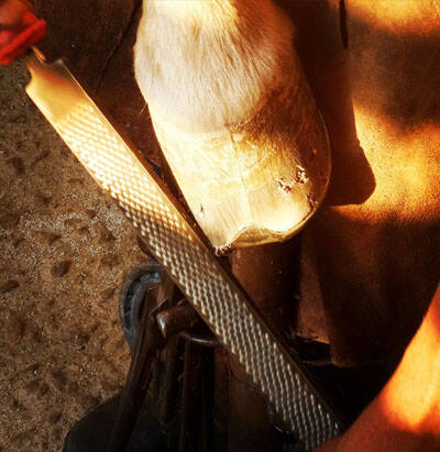 Venda, 0 dormitório em Club de Campo Valinhos - 12