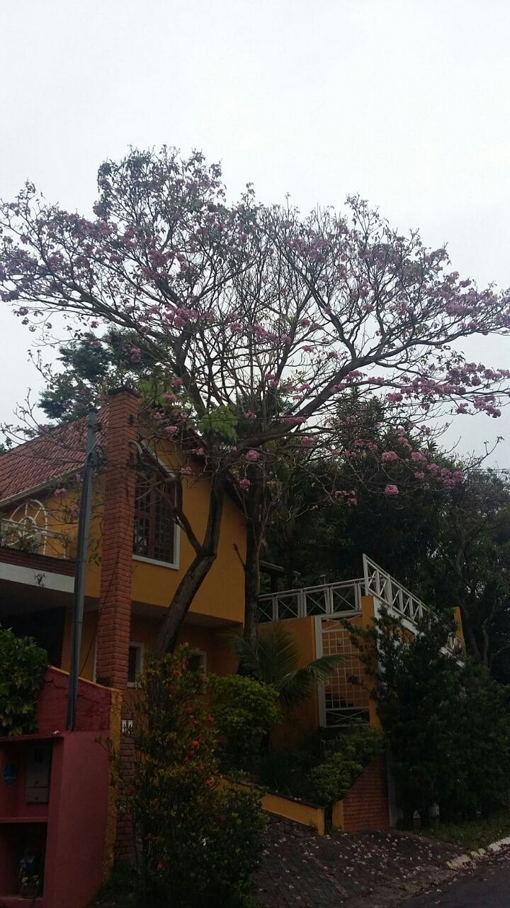 #59 - Casa em condomínio para Venda em Barueri - SP