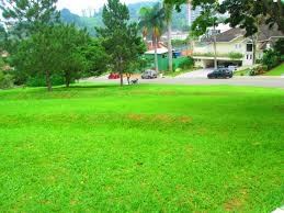 #411 - Terreno em condomínio para Venda em Santana de Parnaíba - SP