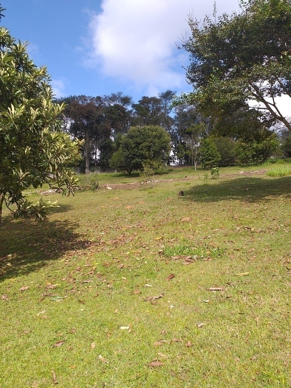 #693 - Chácara para Venda em São Roque - SP