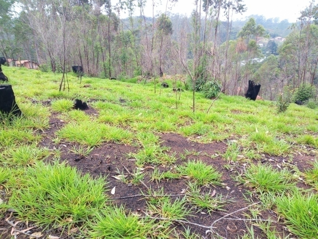 #775 - Terreno para Venda em São Roque - SP