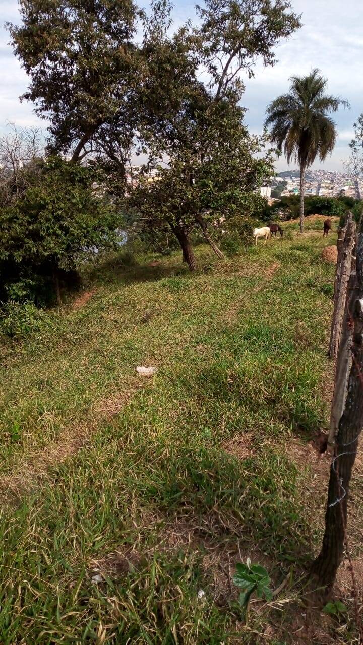 #1136 - Terreno para Venda em Barueri - SP