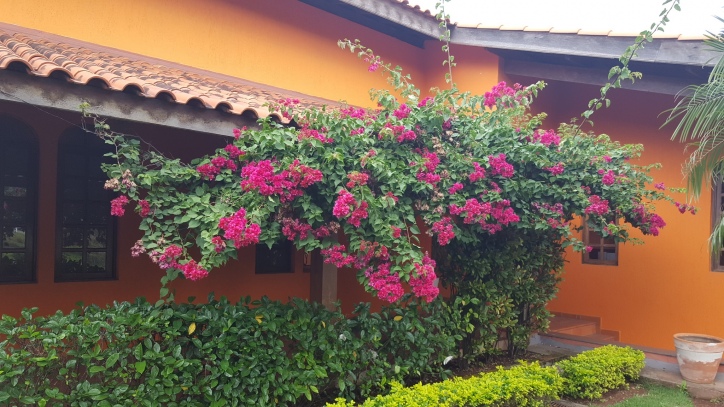 #298 - Casa em condomínio para Venda em Barueri - SP