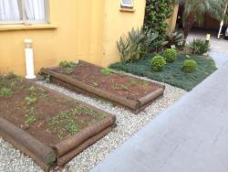 HORTA COMUNITÁRIA 