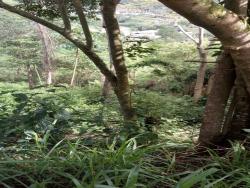 Terreno em condomínio para Venda em Cambará - 6