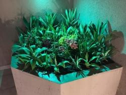 Casa em condomínio para Venda em ALPHAVILLE - 10