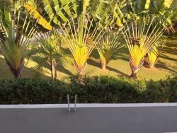 Casa em condomínio para Venda em Alphaville - 33