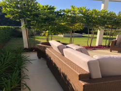 Flat para Venda em TAMBORÉ - 10