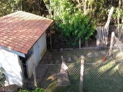 Canil