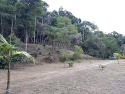 Sítio para Venda em Caete (Mailasqui) - 12