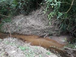 Sítio para Venda em Caete (Mailasqui) - 18