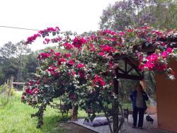 Sítio para Venda em Caete (Mailasqui) - 20