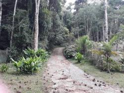Sítio para Venda em Caete (Mailasqui) - 17