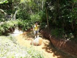 Sítio para Venda em Caete (Mailasqui) - 19
