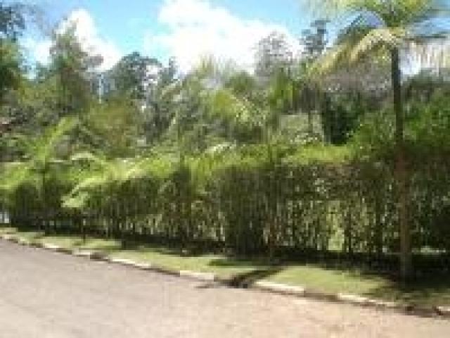 Casa em condomínio para Venda em Colonial vilagge - 53