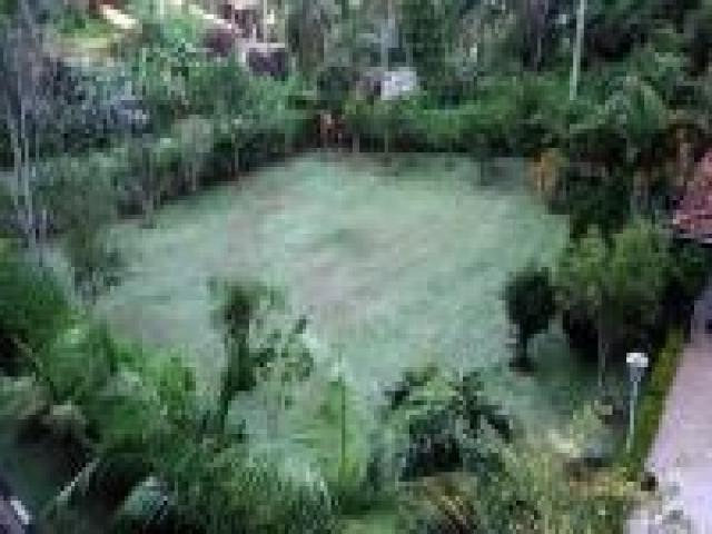 Casa em condomínio para Venda em Colonial vilagge - 39