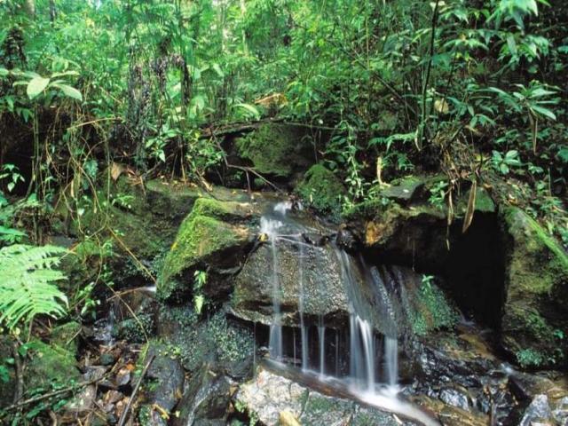 Terreno em condomínio para Venda em Alphaville - 12