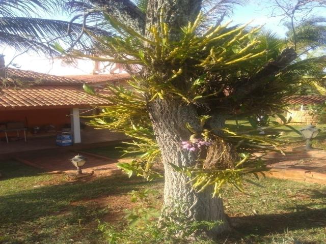 Chácara para Venda em Loteamento fazenda Castelo - 24