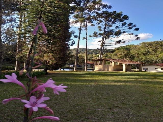 Chácara para Venda em São Roque - 4