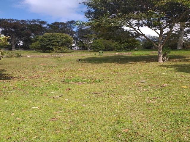 #693 - Chácara para Venda em São Roque - SP