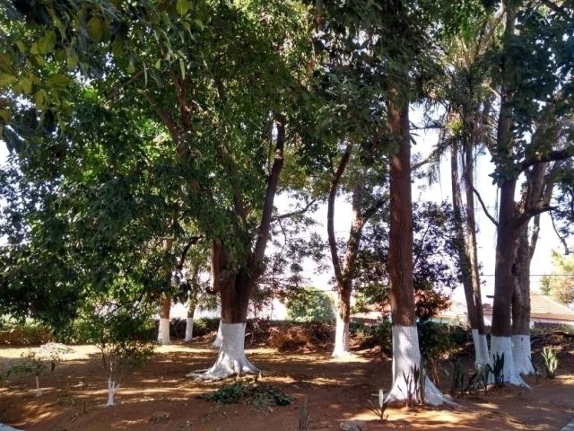 Área para Venda em São Paulo - 5