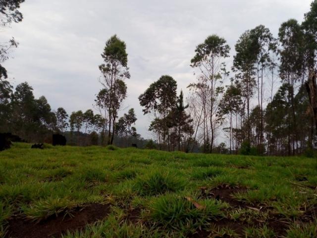 Terreno para Venda em Campininha (Canguera) - 6