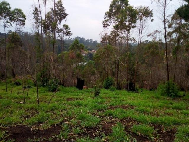 Terreno para Venda em Campininha (Canguera) - 8