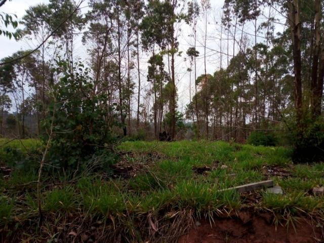 Terreno para Venda em Campininha (Canguera) - 7