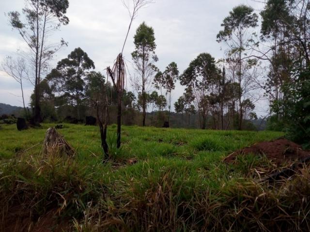 Terreno para Venda em Campininha (Canguera) - 9