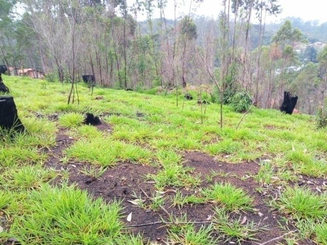 #775 - Terreno para Venda em São Roque - SP - 1