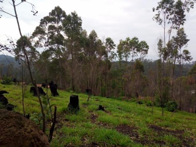 Terreno para Venda em Campininha (Canguera) - 10