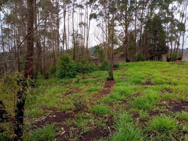 #775 - Terreno para Venda em São Roque - SP - 3