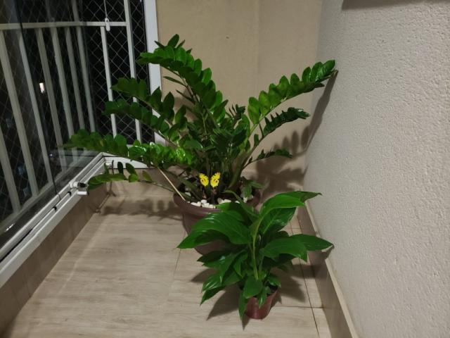 Apartamento para Venda em Barueri - 5