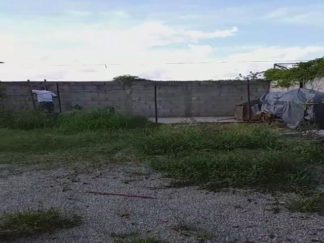 Galpão para Locação em Vila Morellato - 15