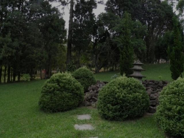  para  em  - 5