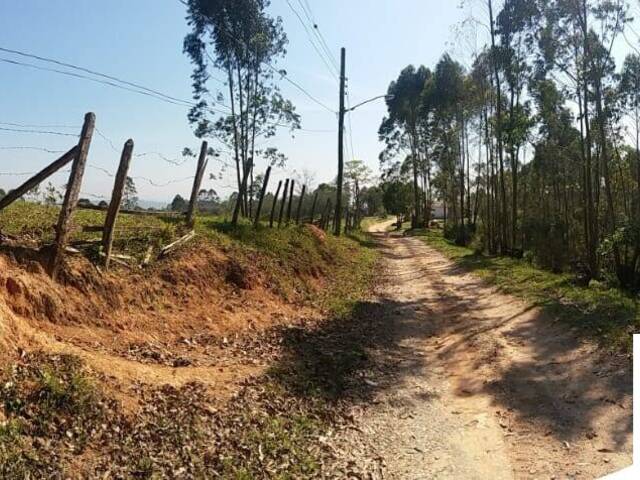 Área para Incorporação para Venda em Sítio Boa Vista - 12