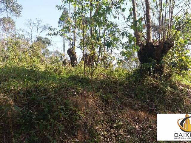 Área para Incorporação para Venda em Sítio Boa Vista - 11