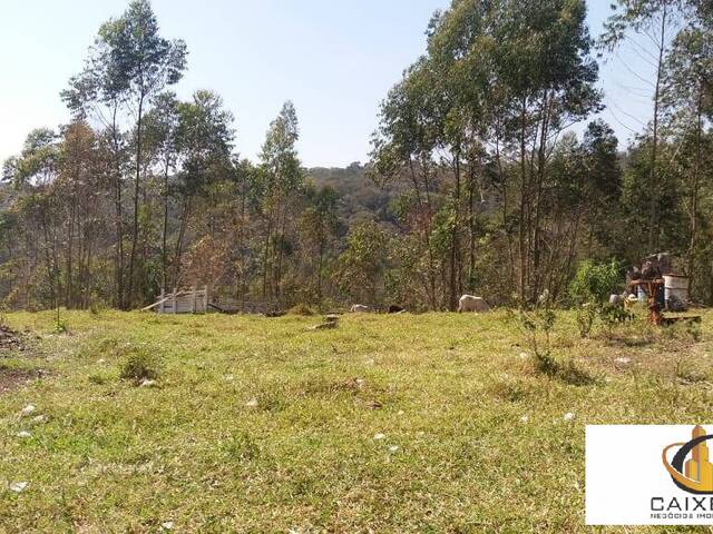 Área para Incorporação para Venda em Sítio Boa Vista - 16