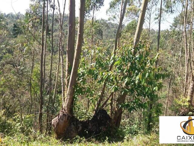 Área para Incorporação para Venda em Sítio Boa Vista - 19