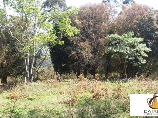 Área para Incorporação para Venda em Sítio Boa Vista - 20