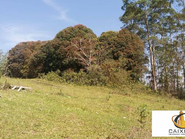 Área para Incorporação para Venda em Sítio Boa Vista - 21