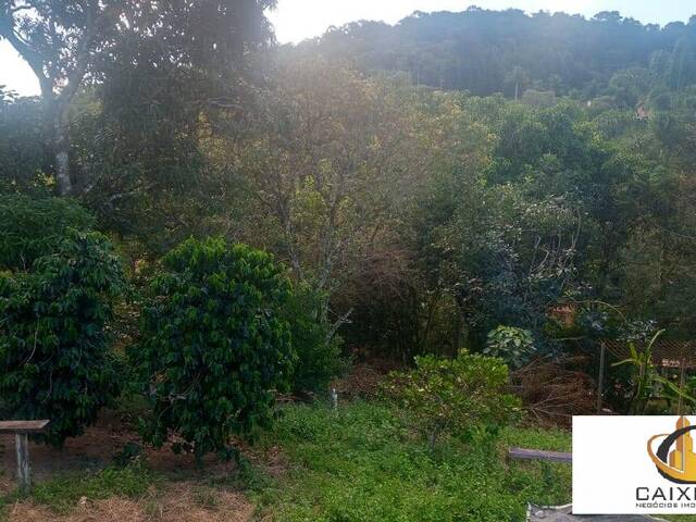 Chácara para Venda em Saboó - 9