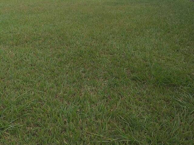 #880 - Terreno em condomínio para Venda em Santana de Parnaíba - SP