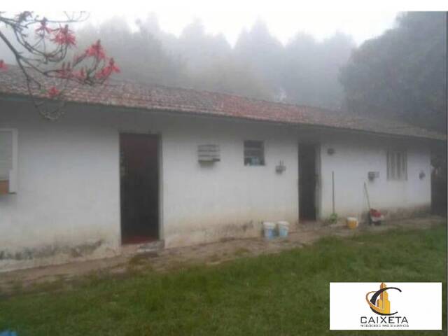 Chácara para Venda em Vila Darcy Penteado (Mailasqui) - 6