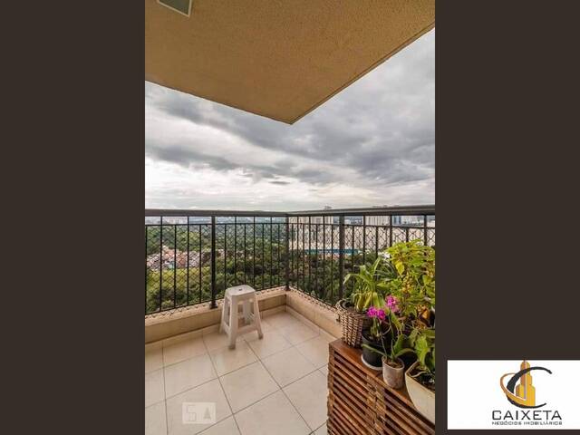 Apartamento para Venda em Jardim Tupanci - 13