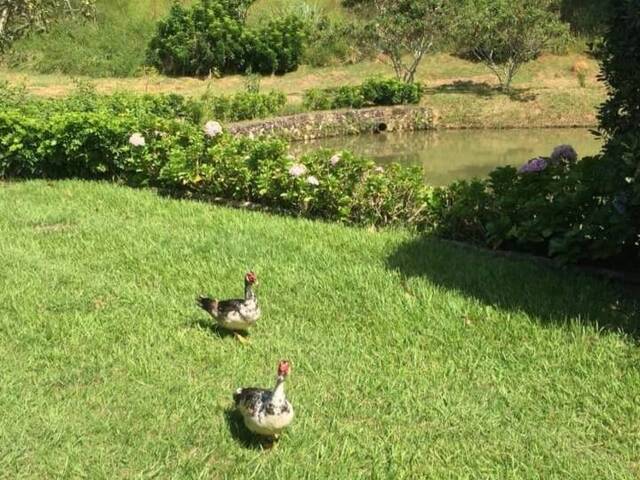 Sítio para Venda em Planalto Verde - 7