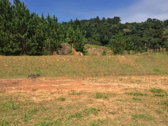 Sítio para Venda em Planalto Verde - 9