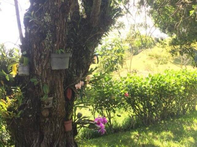 Sítio para Venda em Planalto Verde - 13