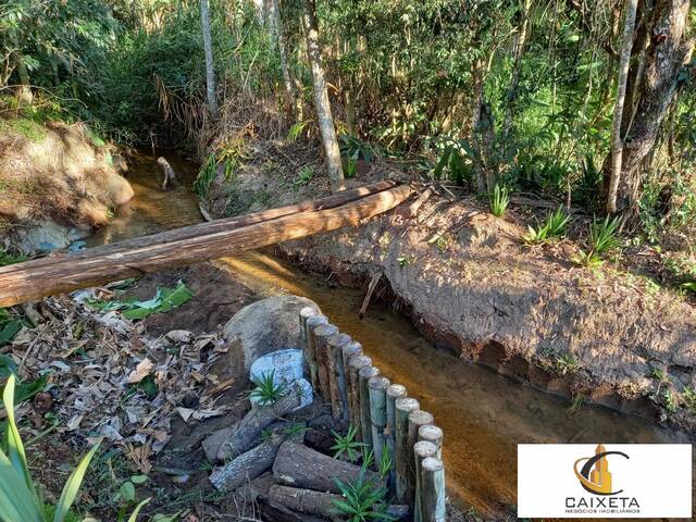 Sítio para Venda em Caete (Mailasqui) - 40